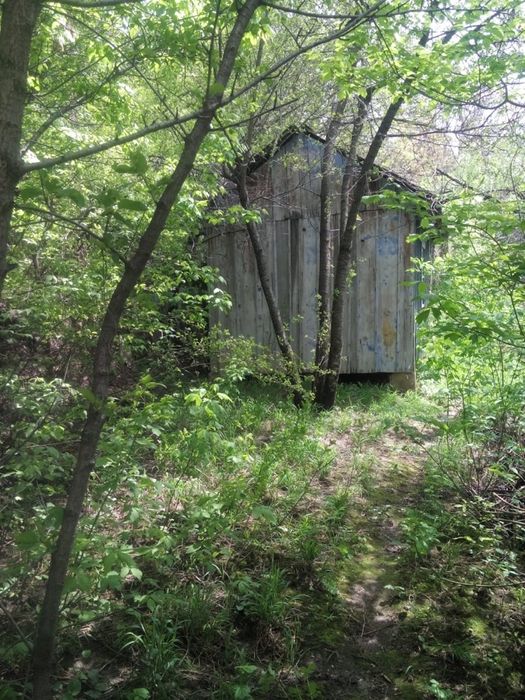 Дача на Каменском плато