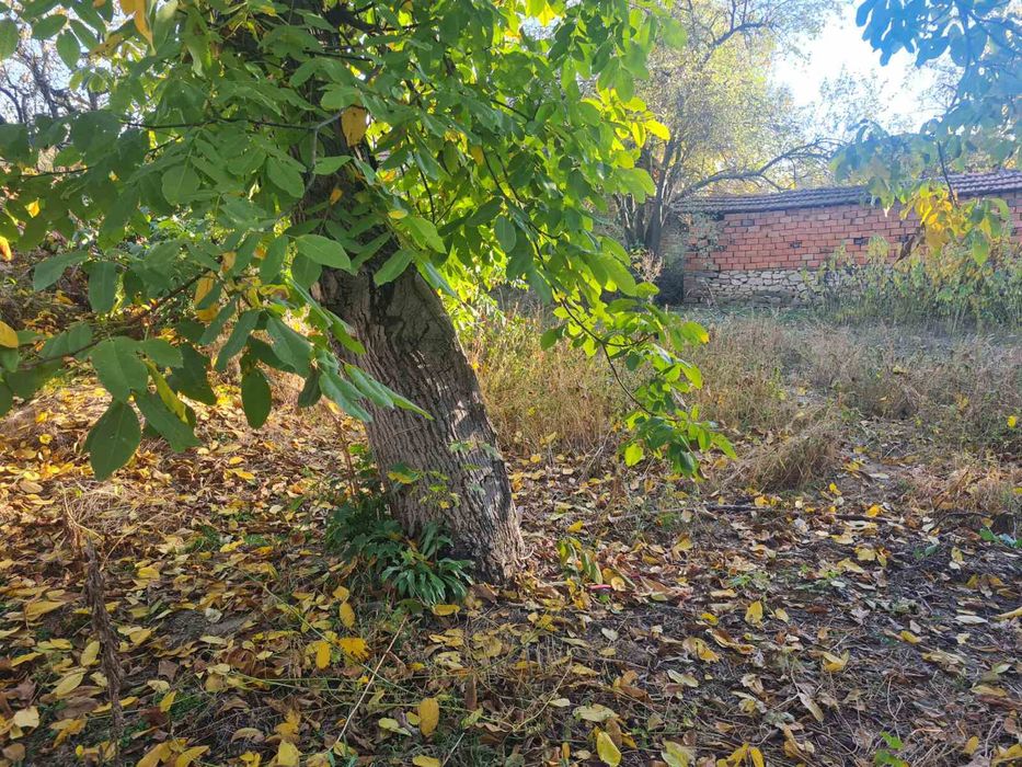 Продава се Къща в с. Слатина, Област Ловеч - 60 кв.м за 51 €/кв.м - Снимка #4