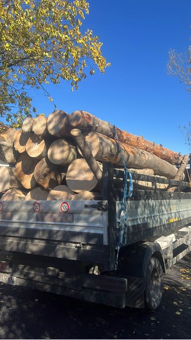 Vand lemne de fag gata taiate