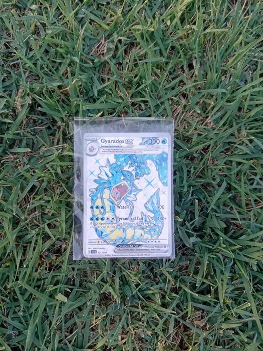 15 Pokémon cards