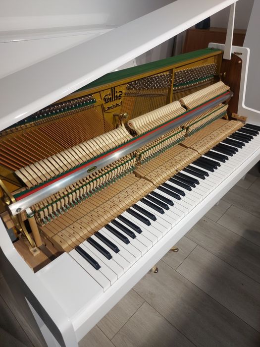Pianină Otto Wilh Germania, mecanică Renner ( transport gratuit & garanție
