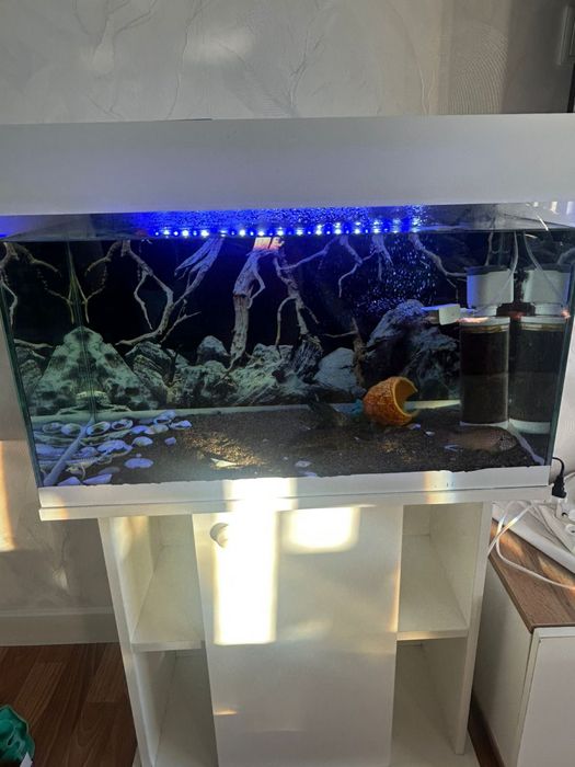 Аквариум с рыбками