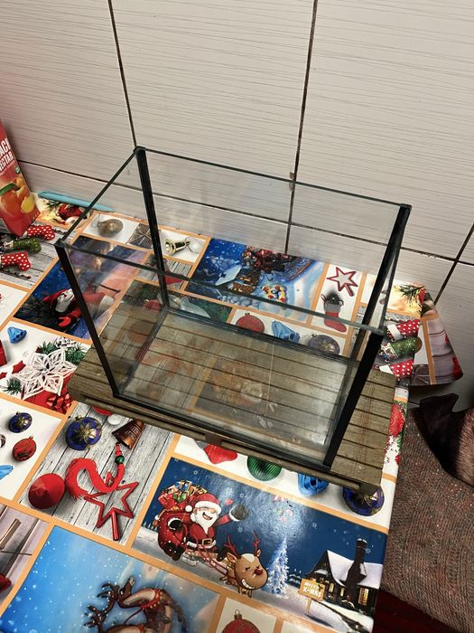 Vand acvariu pt incepatori