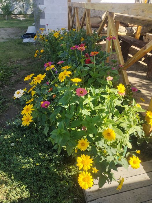 Сдам посуточно гостевой особняк