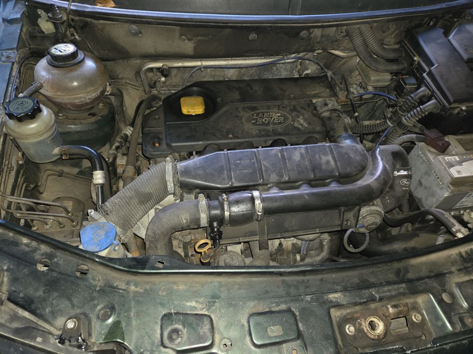 Land Rover Frelandeer