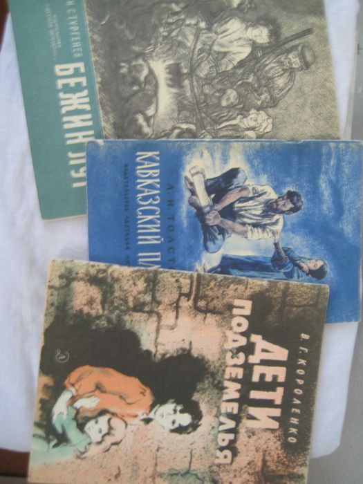 книги по школьной программе