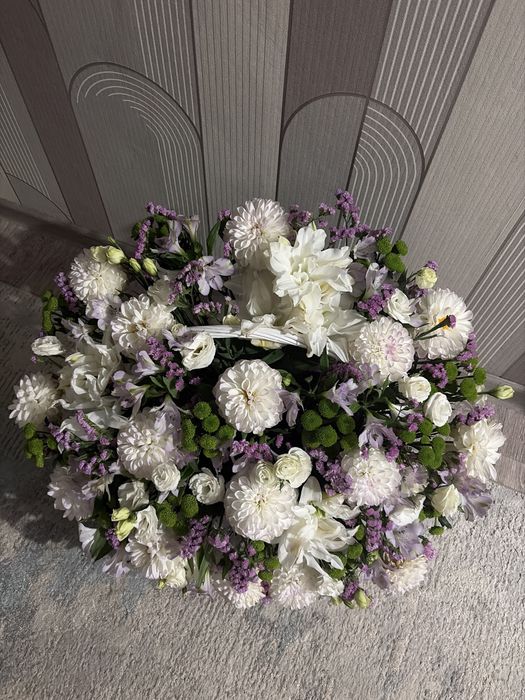 цветы Георгин (Dahlia)