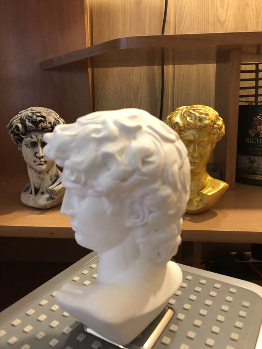 Давид Микеланджело