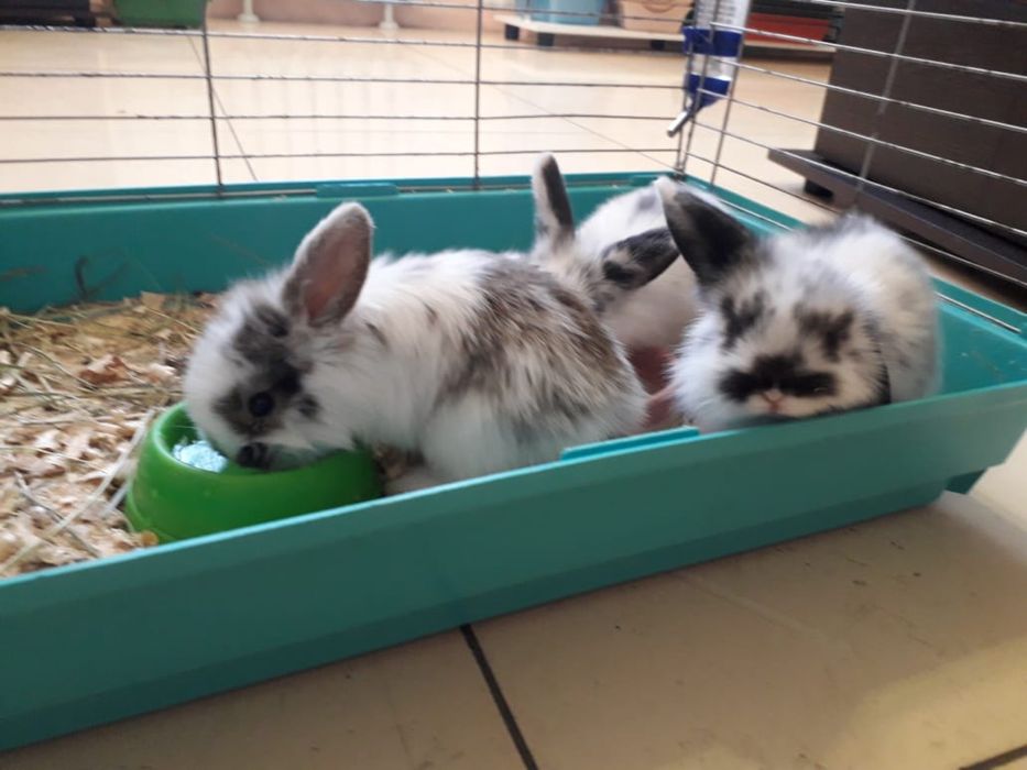 Подарок на 14 февраля !