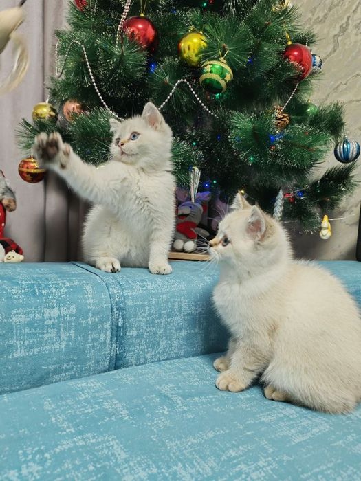 Шикарные малыши от правильной вязки