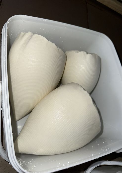 Vând brânză de capră – lapte de la capre Alpine Franceze