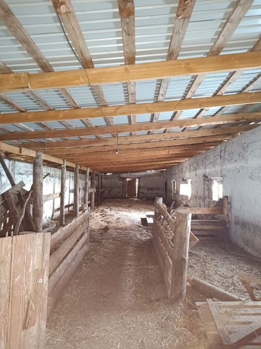 Продам животноводческое хозяйство