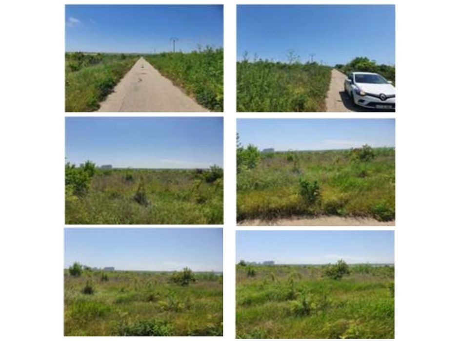 2 terenuri intravilane de vânzare – 19.000 mp și 24.800 mp – 23 August