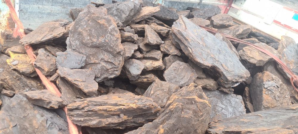 Carbune lignit si lemne de foc