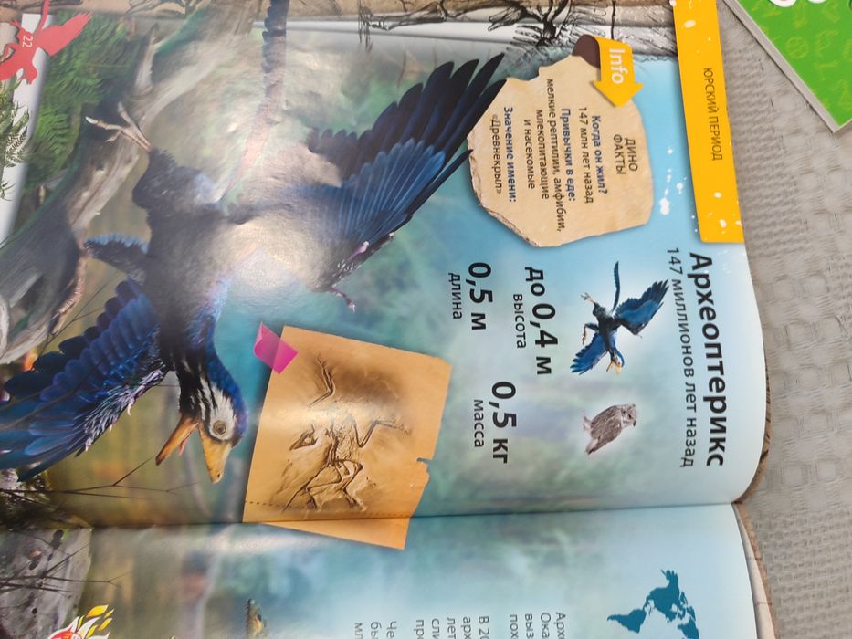 Энциклопедия Динозавров