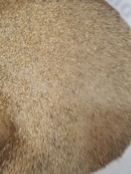 Daphnia uscata 1kg, Purec de balta uscat