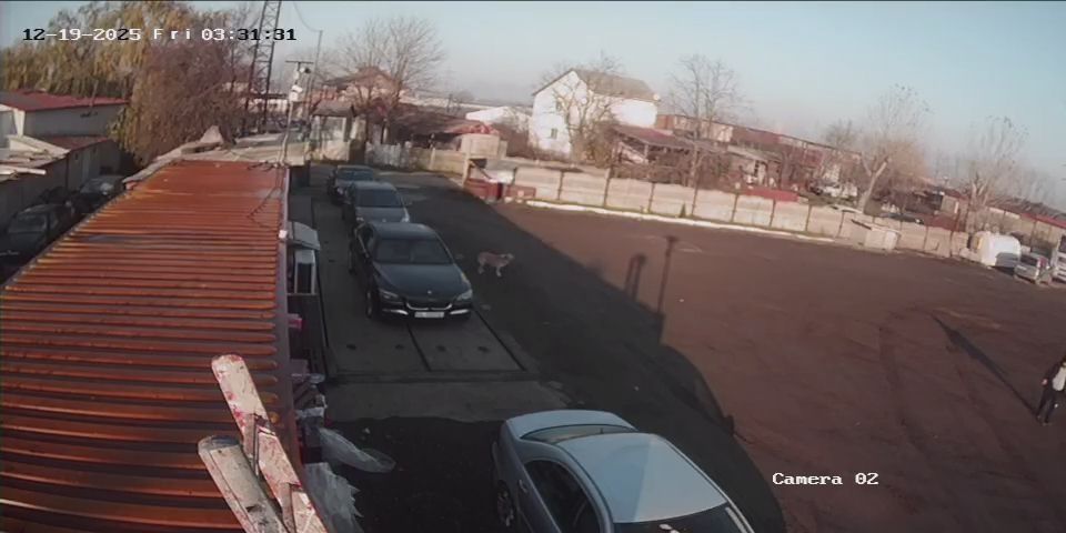 Teren intravilan 2500m,Varianta Nord