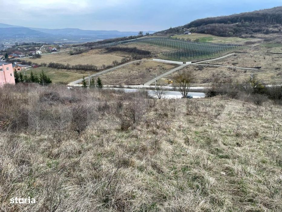 Teren intravilan 1.525 mp – Valea Jelnei, aproape de Bistrita, negoc