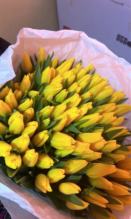 Тюльпаны оптом голандия