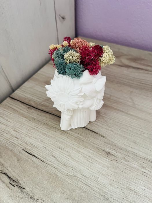 Кашпи със скандинавски мъх