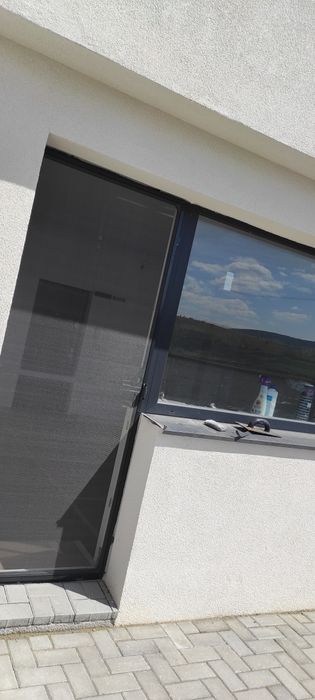 Plase insecte la comanda