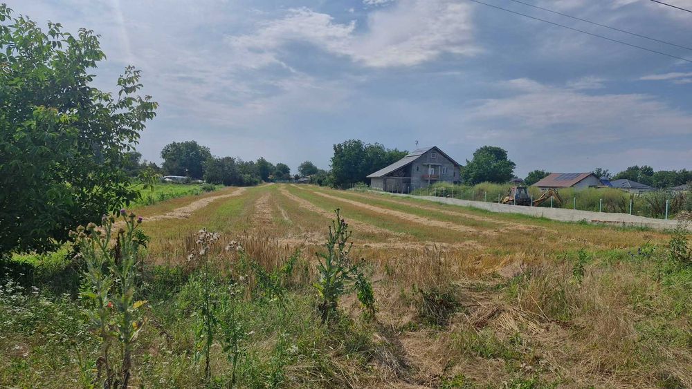 Teren de vânzare în Săbăreni - Giurgiu (4400 mp) lângă Dragomirești-Deal / Chiajna.