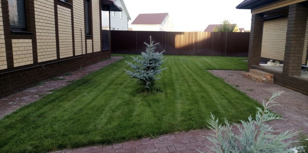 Газон англиский спортивный