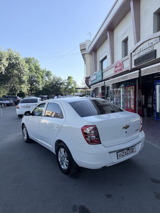 Other Cobalt 2023 — 4