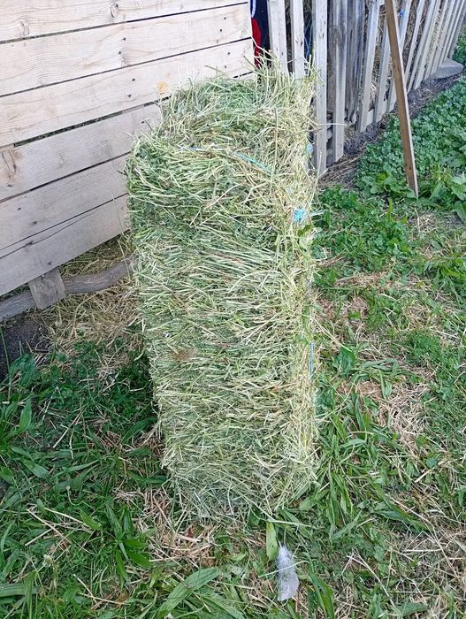 Baloti de luțernă