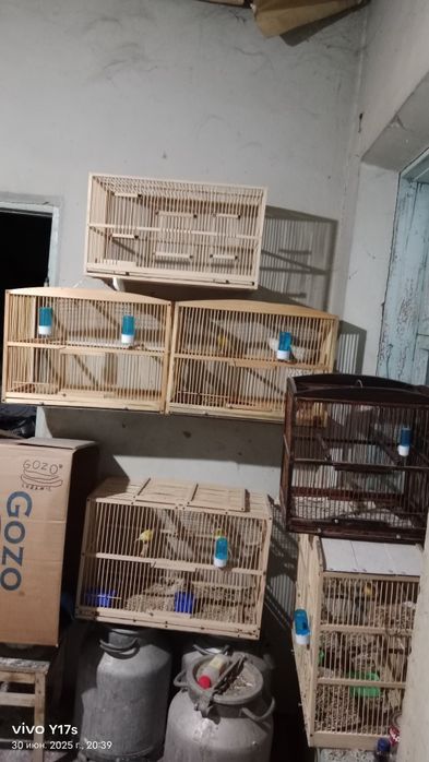 Клетки для канарека