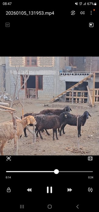 Ммммммммииииииииии