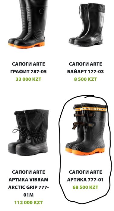 Зимнии сапоги Арктика