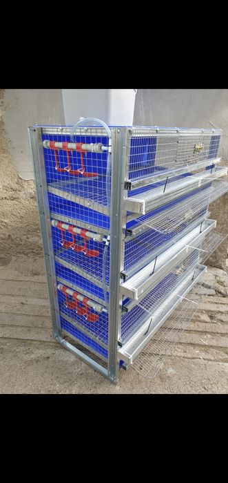 Клетки за пъдпъдъци