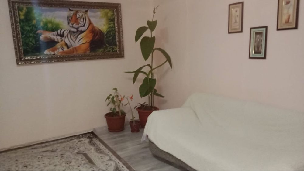 Продается дом на земле