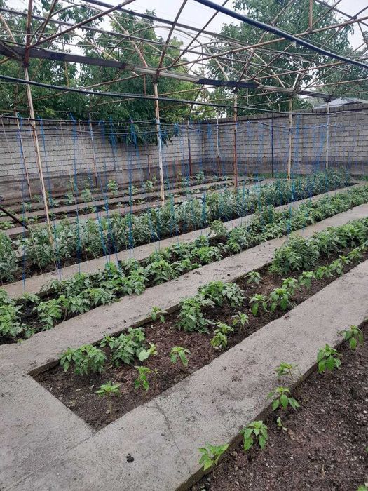 Продается участок 6,33 соток в близи Новый Ташкент