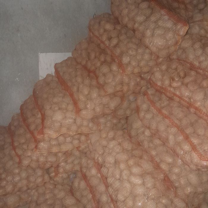 Vând cartofi  de consum și sămânță.