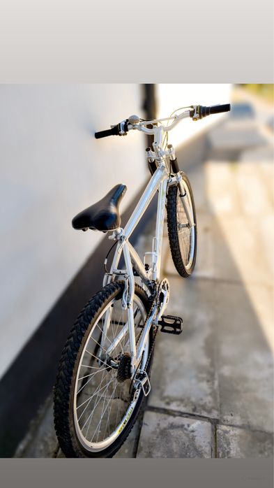 Bicicleta Mountain Bike DHS