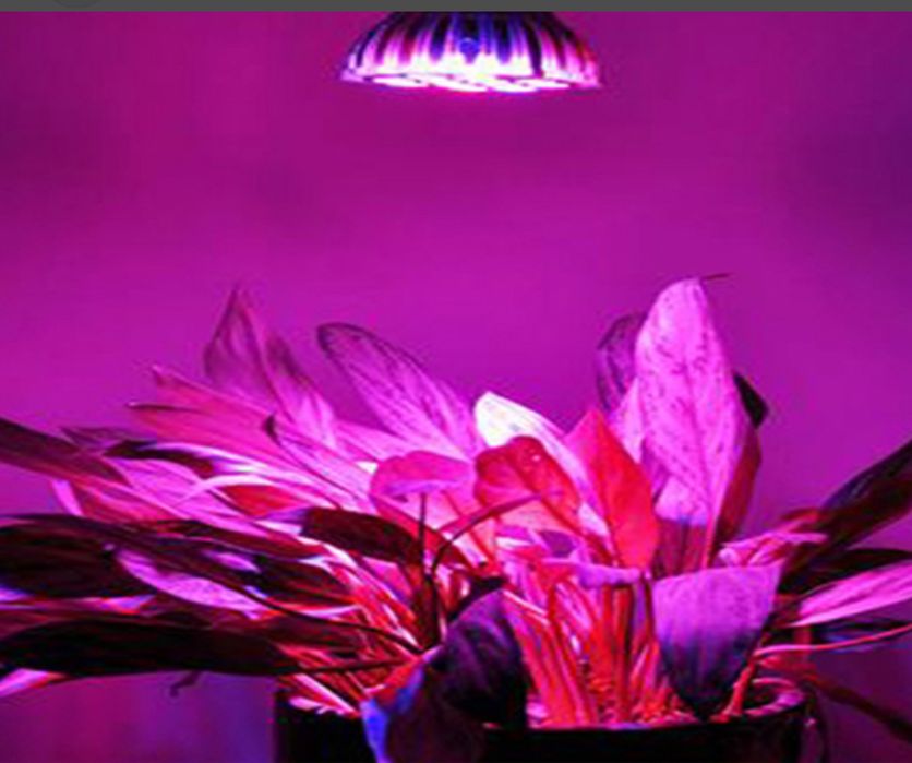 Фитолампы для растений       Цена 180.000 сум 18 w 120см длина