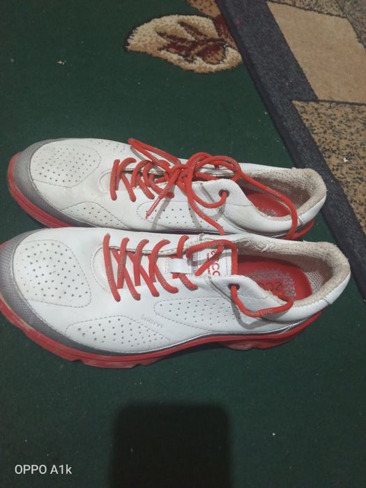 Красовка сатамын