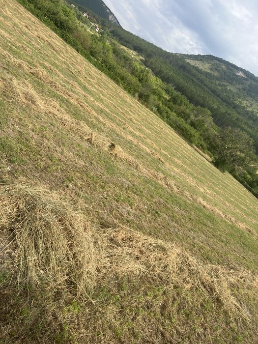 Продавам Бали люцерна 1 ви откос