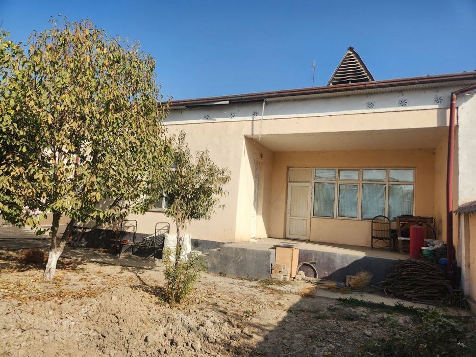 6-sotokli kotej sobir raximov