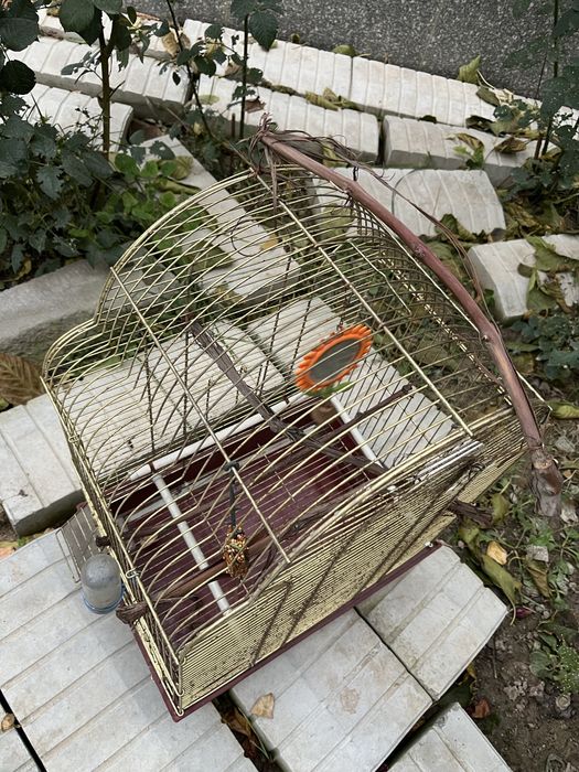 Продам б/у клетка