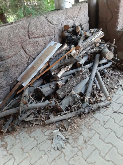 Дрова сухие, после обрезки плодовых деревьев