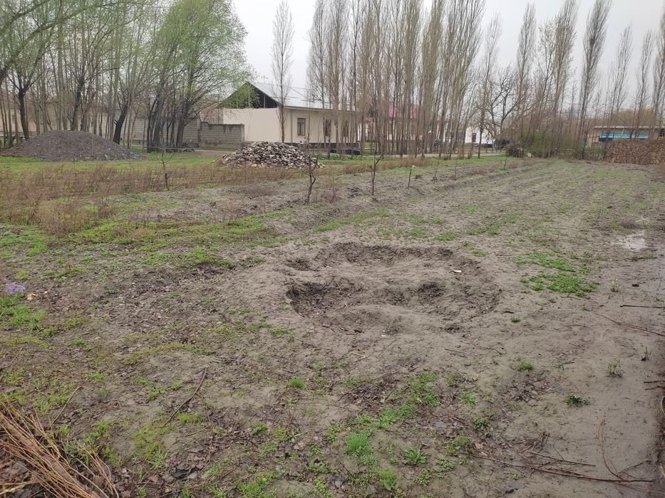 Jomboy yer uchastkasi sotiladi 12 sotix kirif  6- brigat