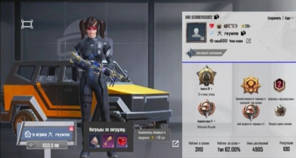 Дон аккаунт в пабг