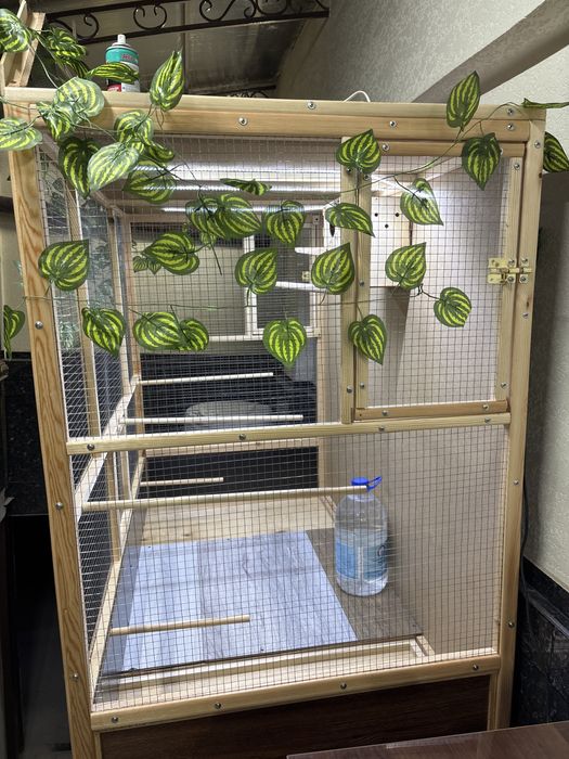 Qafaslar qushga  valer