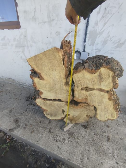 Rondele, felii de lemn din salcâm