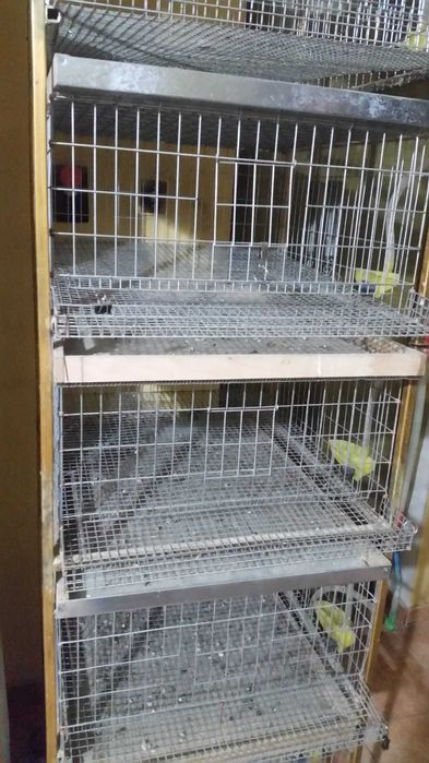 Custi SH Prepelite _ accesorii