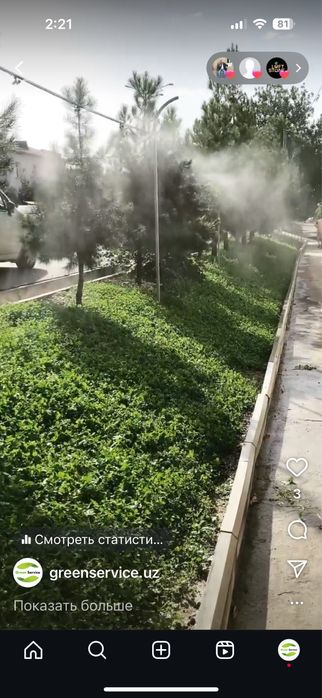 Газоны.Ландшафтный дизайн.Фонтанчики.