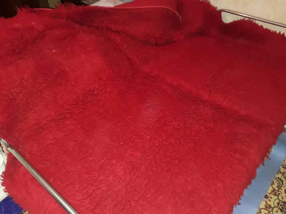 Многоцветен китеник